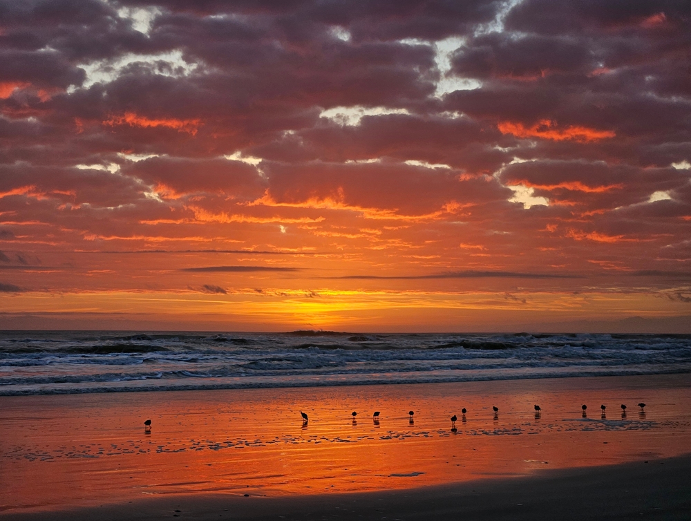 Image for Autumn Stays by the Sea